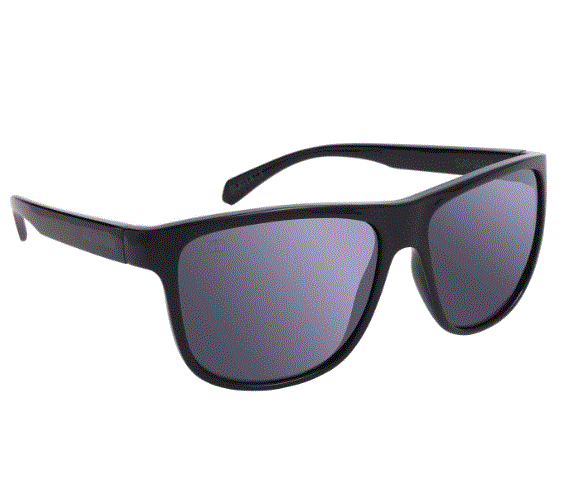 ΓΥΑΛΙΑ ΗΛΙΟΥ OXFORD Sahara Black Frame Smoke Lens Sunglasses SU014 